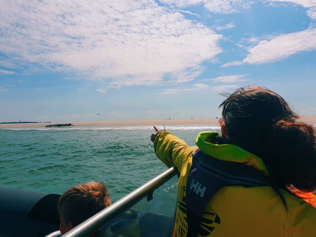 Ga je naar Vlieland met kinderen? Ga met een speedboot zeehonden spotten.