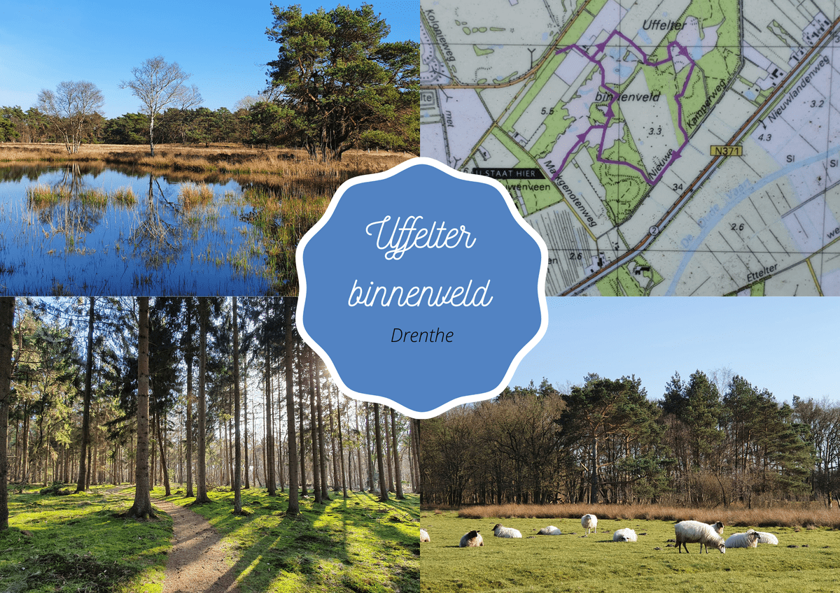 Uffelter binnenland is een wandeltip in Drenthe: Enorm afwisselend met bos, oude bunkers en grafheuvels, watertjes en velden. 