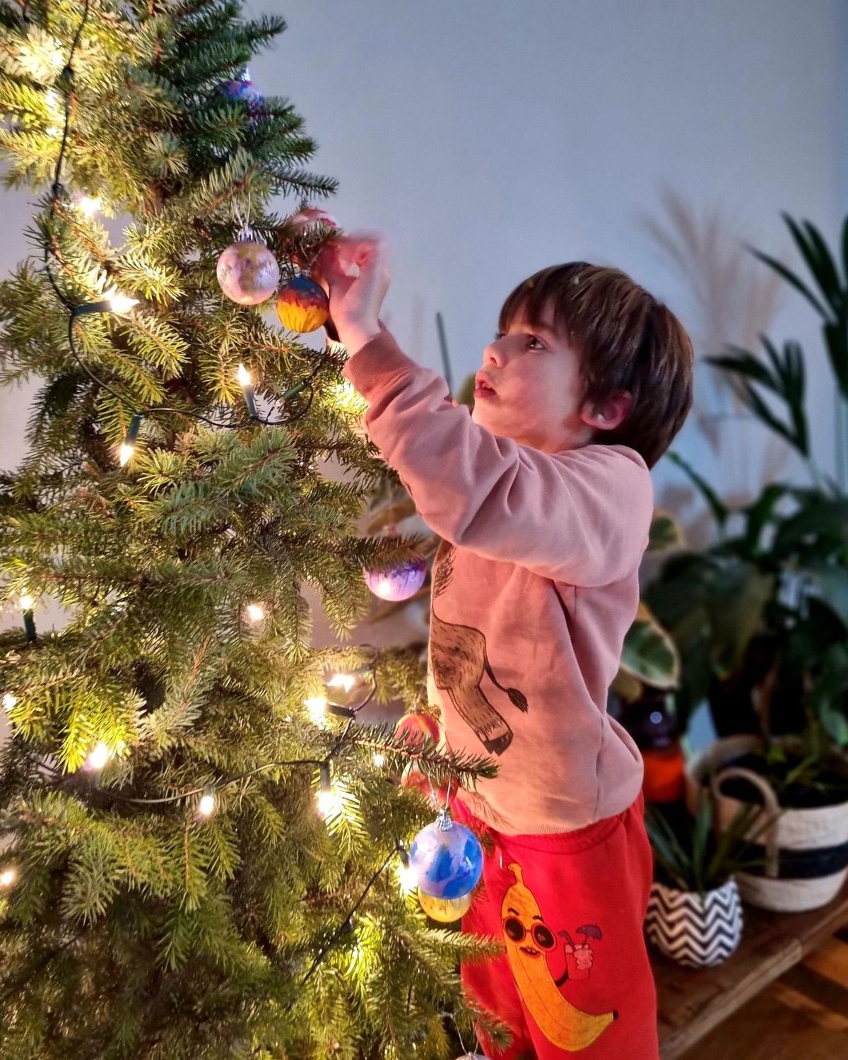 Een groene kerst met een duurzame adoptieboom van beterboompje.nl.