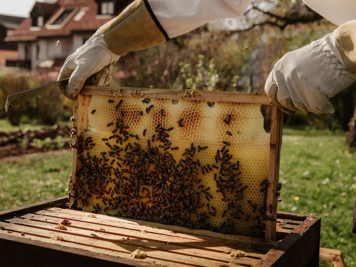 Duurzame honing: bestaat dat wel?